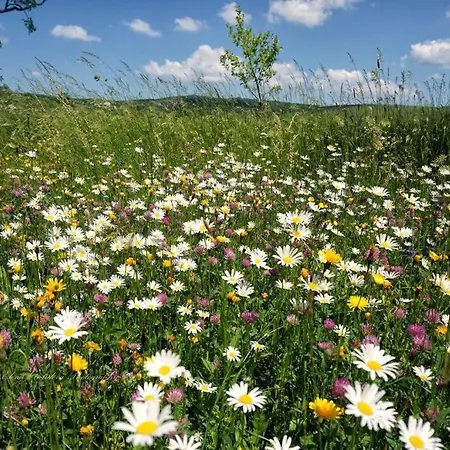 Appartement Biofarma Kaska