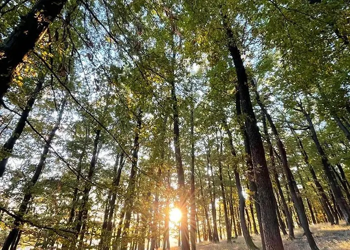 דירה Biofarma Kaska Vrbovce